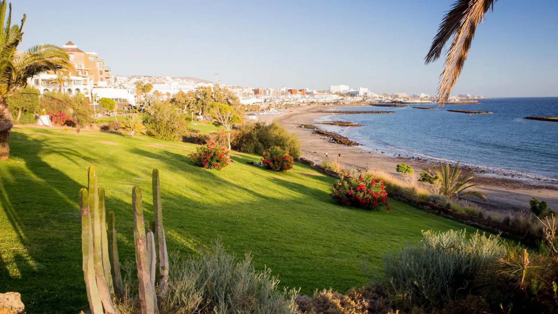 Apartment Suite Las Terrazas Favorite Place Costa Adeje Spain